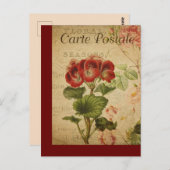 botanische Kaart van de Franse Post Pelargonium (Voorkant / Achterkant)