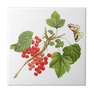 Botanische keramische tegels tegeltje