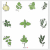 Botanische keuken Kruiden Illustraties Sticker (Vel)
