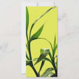 botanische kunst bamboe groen blad bladwijzer