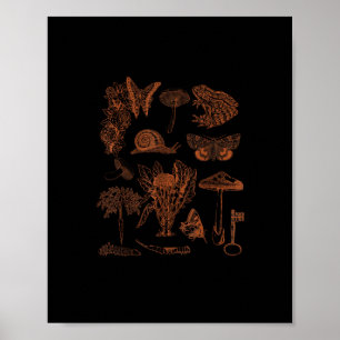 Botanische Kunst, Kikker Schimmels Goblincore Esth Poster