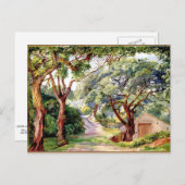 Botanische kunst: Kurkbomen bij Cintra bij Lissabo Briefkaart (Voorkant / Achterkant)