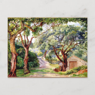 Botanische kunst: Kurkbomen bij Cintra bij Lissabo Briefkaart