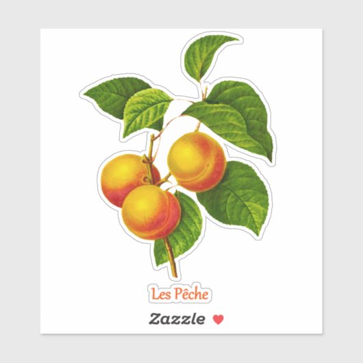 botanische kunst - perziken en bladeren sticker (Vel)