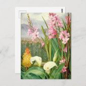 Botanische kunst: Schoonheden van het moeras  Briefkaart (Voorkant / Achterkant)