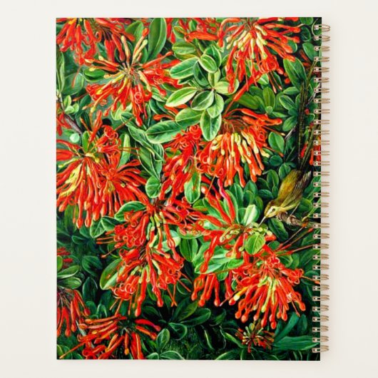 Botanische kunst: Verbrandende Struik en Emu Wren Planner (Achterkant)