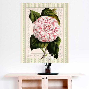 Botanische kunst Vintage Camellia opvallend ontwer Poster