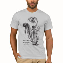 Botanische kunstkunst van kobra-Plant