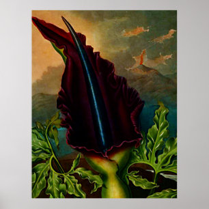 Botanische kunsttempel van Flora Dragon Plant Poster
