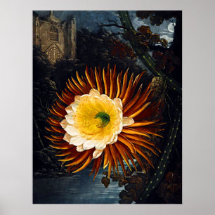 Botanische kunsttempel van Flora Night Bgloing Cer Poster