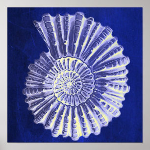 botanische kuststrook Blauwe zeebodem Poster