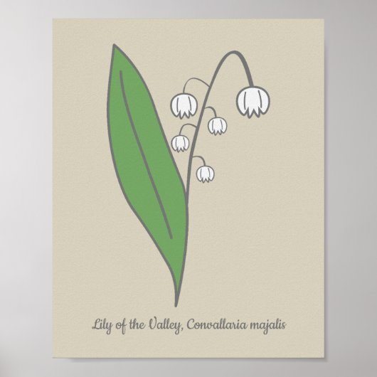 Botanische Lelie van de Vallei Pastel Bloem Poster (Voorkant)