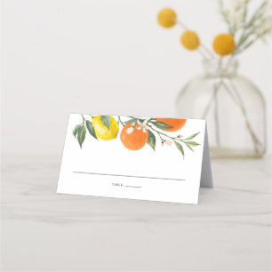 Botanische Lemon en Oranje Garland Summer Wedding