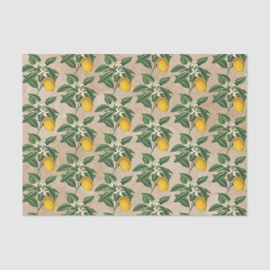  botanische limoenbloem, bloesem, beige Kraft Tissuepapier (Voorkant)