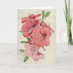 botanische Magnet Azalea Kaart