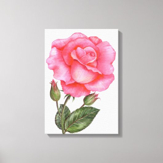 Botanische Muur Kunst Roze Rose Bloemen Bloemen Bl Canvas Afdruk (Voorkant)