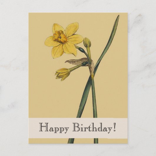  Botanische narcis Happy Birthday Briefkaart (Voorkant)