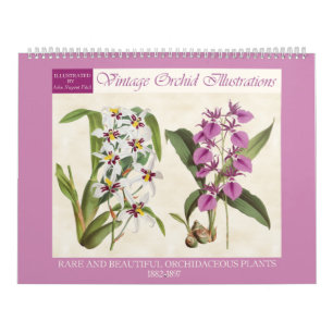 botanische orchideeënillustraties 2026 kalender