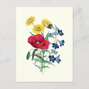 Botanische Oude Wilde Bloemen: Papaver, Madeliefje Briefkaart