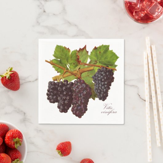 Botanische Paarse druiven Papieren servetten (Set  (Insitu)