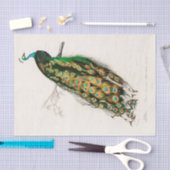  botanische pacocks Peafowl Tissuepapier (Craft)