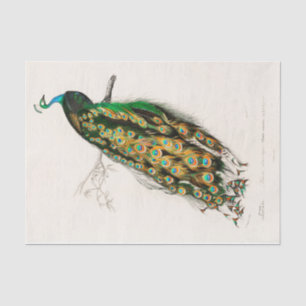 botanische pacocks Peafowl Tissuepapier
