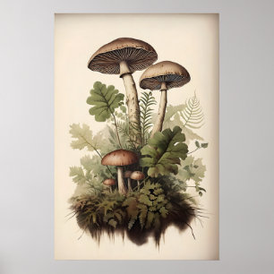 Botanische Paddenstoel Print, Mos Varens, Vintage Poster