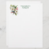 botanische pagina briefhoofd ontwerp (Voorkant / Achterkant)