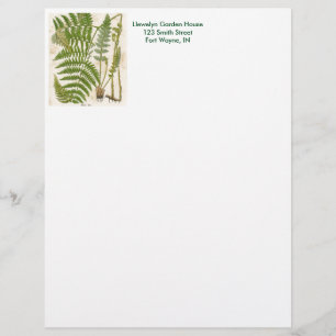 botanische pagina - Fern Custom Briefhoofd