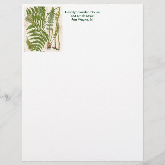  botanische pagina - Fern Custom Briefhoofd (Voorkant)