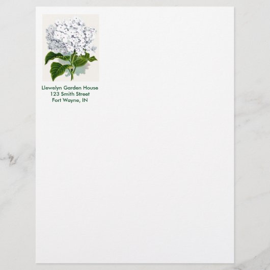 botanische pagina - witte hydrangea briefhoofd (Voorkant)