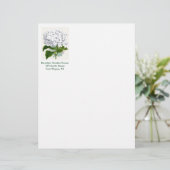 botanische pagina - witte hydrangea briefhoofd (Staand voorkant)