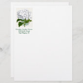 botanische pagina - witte hydrangea briefhoofd (Voorkant / Achterkant)