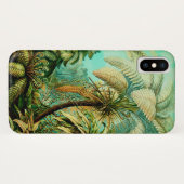 Botanische Palms iPhone Case Ernst Haeckel (Achterkant (horizontaal))