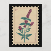 botanische pepermuntbloem briefkaart (Voorkant)