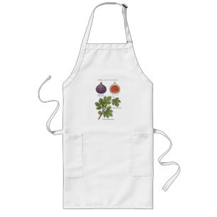 Botanische Plaat Vijg Ficus Carica Lang Schort