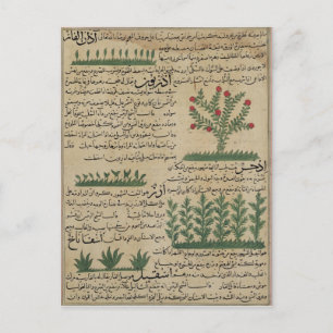 Botanische planten, illustratie van 'The The Briefkaart