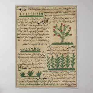 Botanische planten, illustratie van 'The The Poster