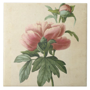 botanische pony tegeltje