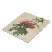  botanische pony tegeltje (Zijkant)