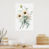Botanische PREMIUM-KWALITEITprint van chrysanthemu Poster (Keuken)