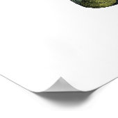 Botanische PREMIUM KWALITEITSDruk van camellia Poster (Hoek)