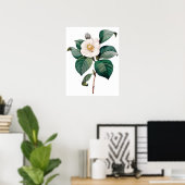 Botanische PREMIUM KWALITEITSDruk van camellia Poster (Thuiskantoor)