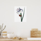 Botanische PREMIUM KWALITEITSDruk van de iris Poster (Keuken)