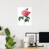 Botanische PREMIUM-KWALITEITSDruk van het roos Poster (Thuiskantoor)
