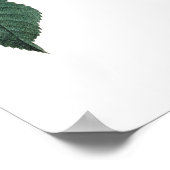 Botanische PREMIUM-KWALITEITSDruk van het roos Poster (Hoek)