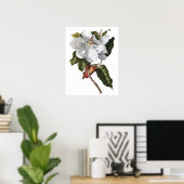 Botanische PREMIUM-KWALITEITSDruk van magnolia Poster (Thuiskantoor)