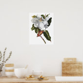 Botanische PREMIUM-KWALITEITSDruk van magnolia Poster (Keuken)