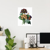 Botanische PREMIUM KWALITEITSDruk van primula Poster (Thuiskantoor)