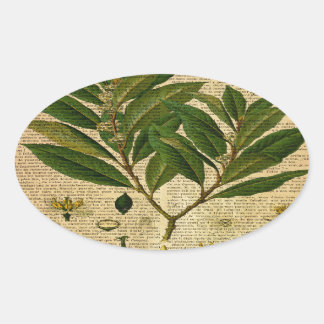 Botanische print op oude boekpagina ovale sticker
